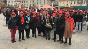 Lissone il gruppo QDonna