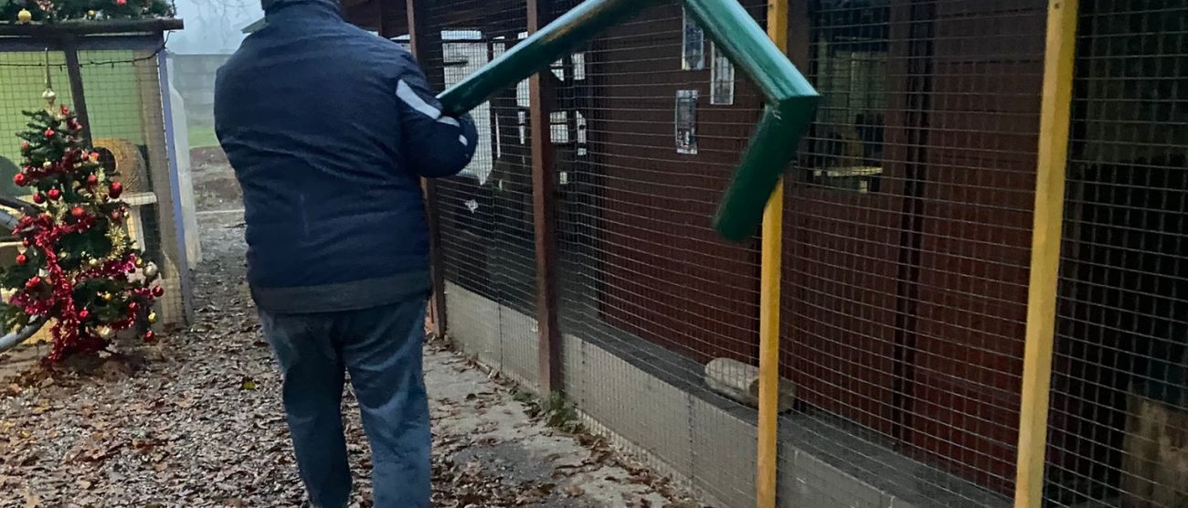 Lavori in corso all'oasi di Gattolandia a Monza