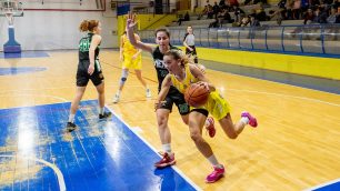 ASD Usmate Basket