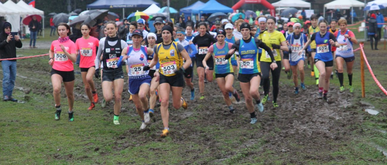 Cross Campionati Brianzolo 2025 partenza gruppo femminile