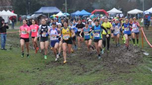 Cross Campionati Brianzolo 2025 partenza gruppo femminile