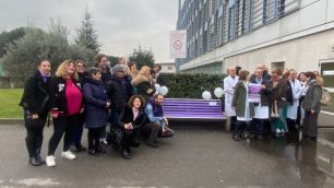 Monza panchina viola epilessia