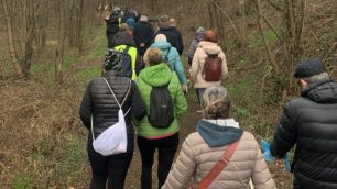 Arcore Bernate camminata Pedemontana in fila per il sentiero