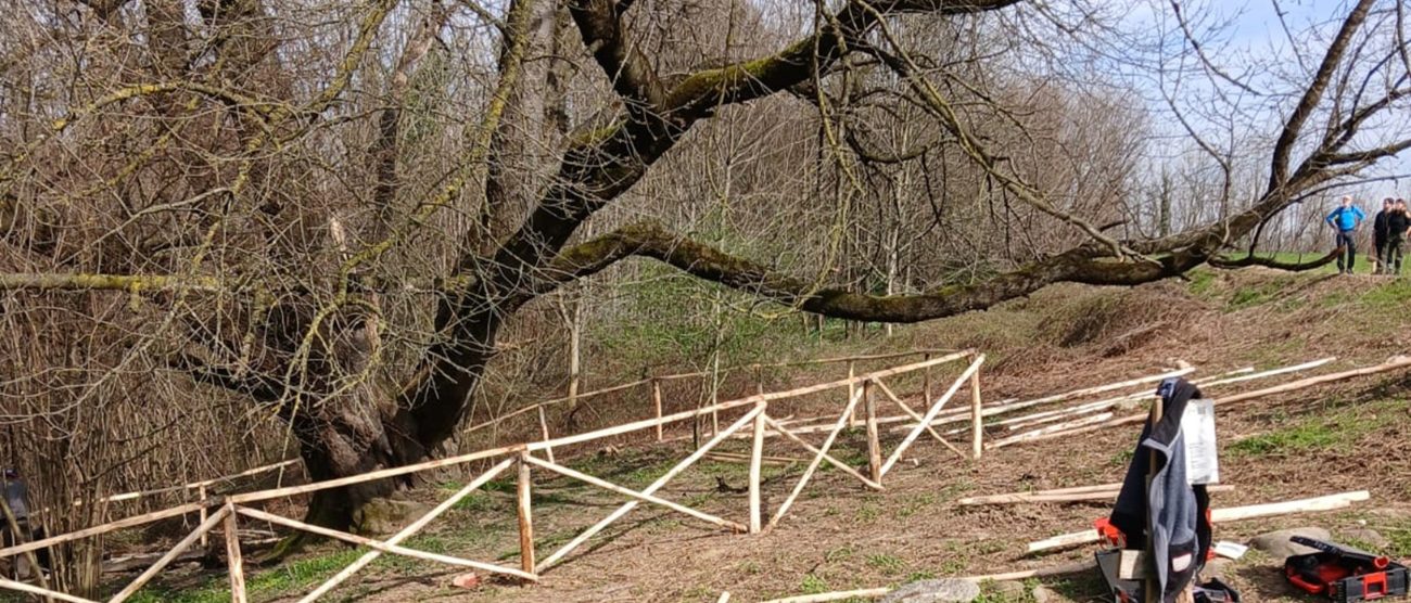 Cominciati a Besana in Brianza i lavori per la messa in sicurezza della zona del ciliegio