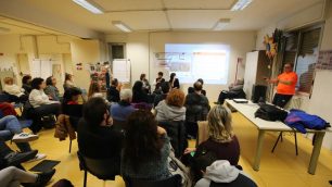 Consulta Triante Monza