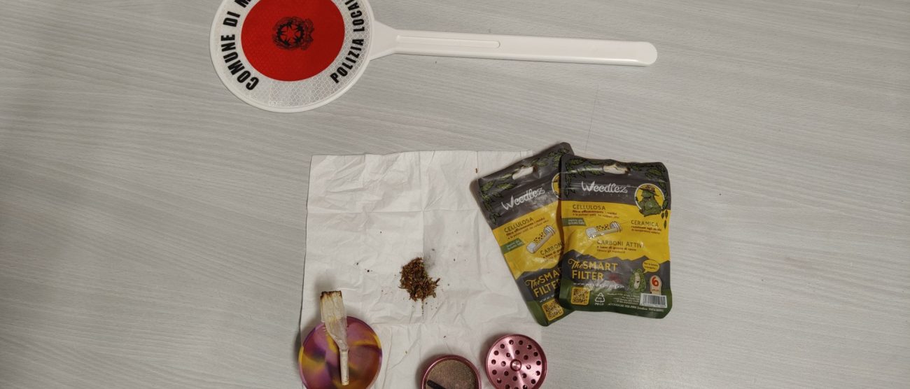 Meda droga