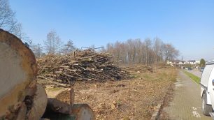 Mezzago Bosco in città