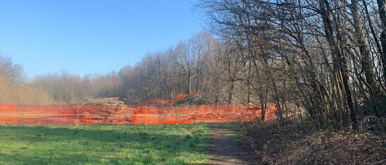 Pedemontana boschi Arcore sentiero per Camparada sbarrato