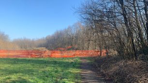 Pedemontana boschi Arcore sentiero per Camparada sbarrato