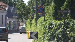 Monza via Donizetti - foto Radaelli/Archivio