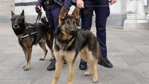 Monza polizia locale unità cinofila