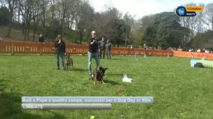 limbiate dog day