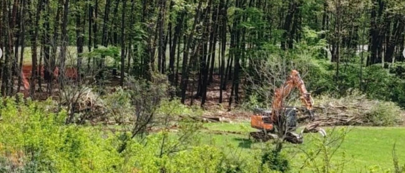 Pedemontana ruspe boschi Lesmo