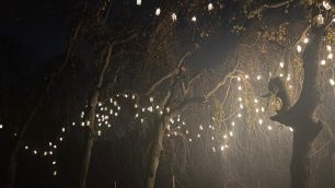Trame di Luce 2023 Parco di Monza