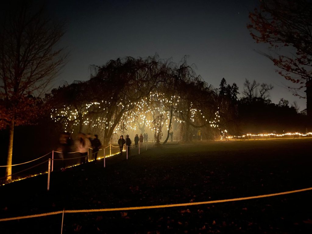 Trame di Luce 2023 Parco di Monza