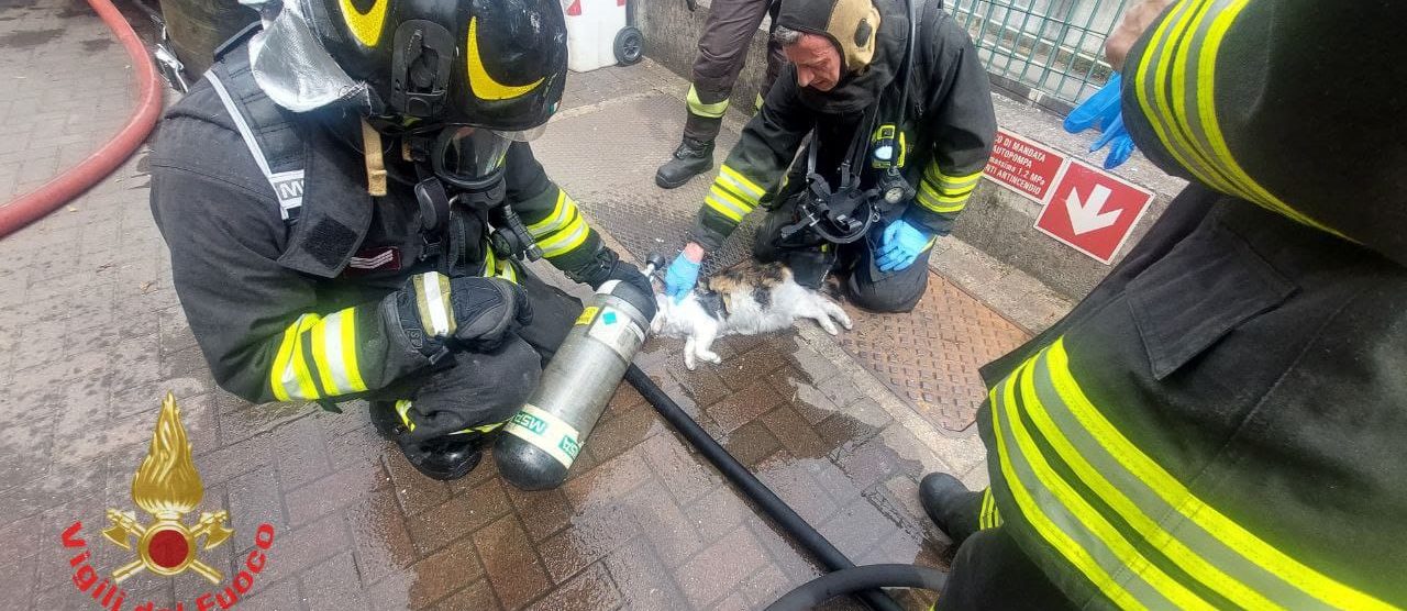 Incendio in via Como a Cesano Maderno