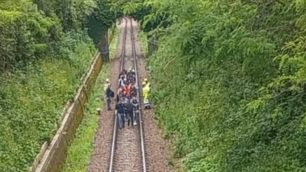 Triuggio treni Besanino rami sui binari