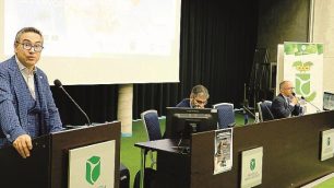 Rapporto occupazione in Provincia MB