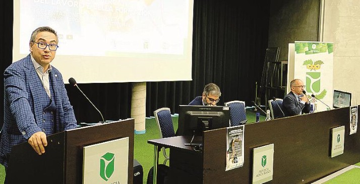 Rapporto occupazione in Provincia MB