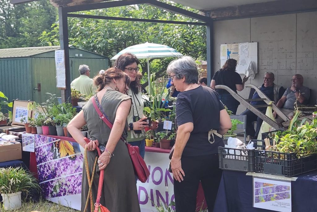 Desio scambio piante Emozioni in giardino