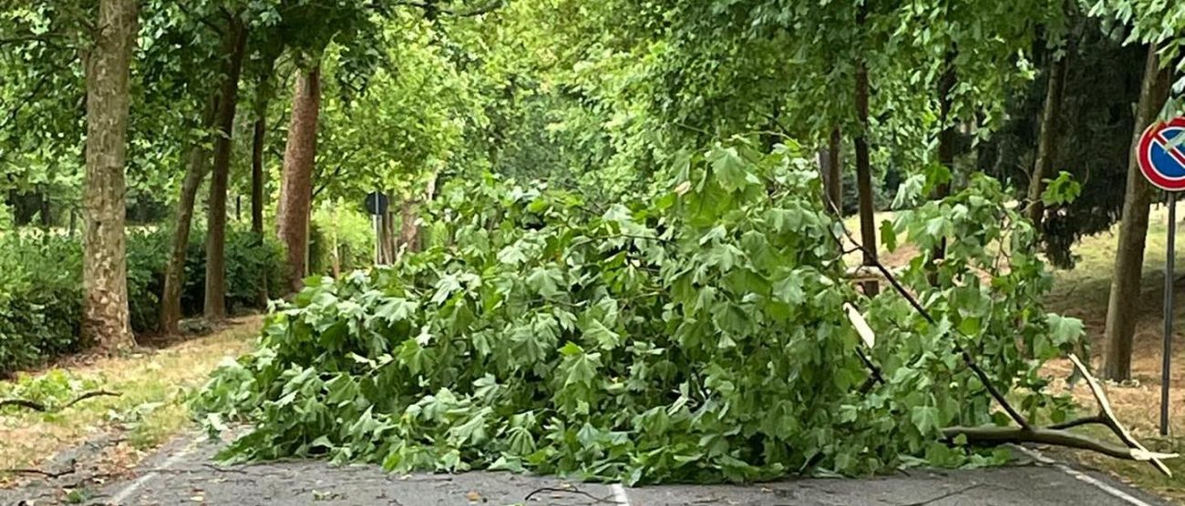 Meteo parco domenica 15 giugno