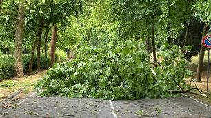 Meteo parco domenica 15 giugno