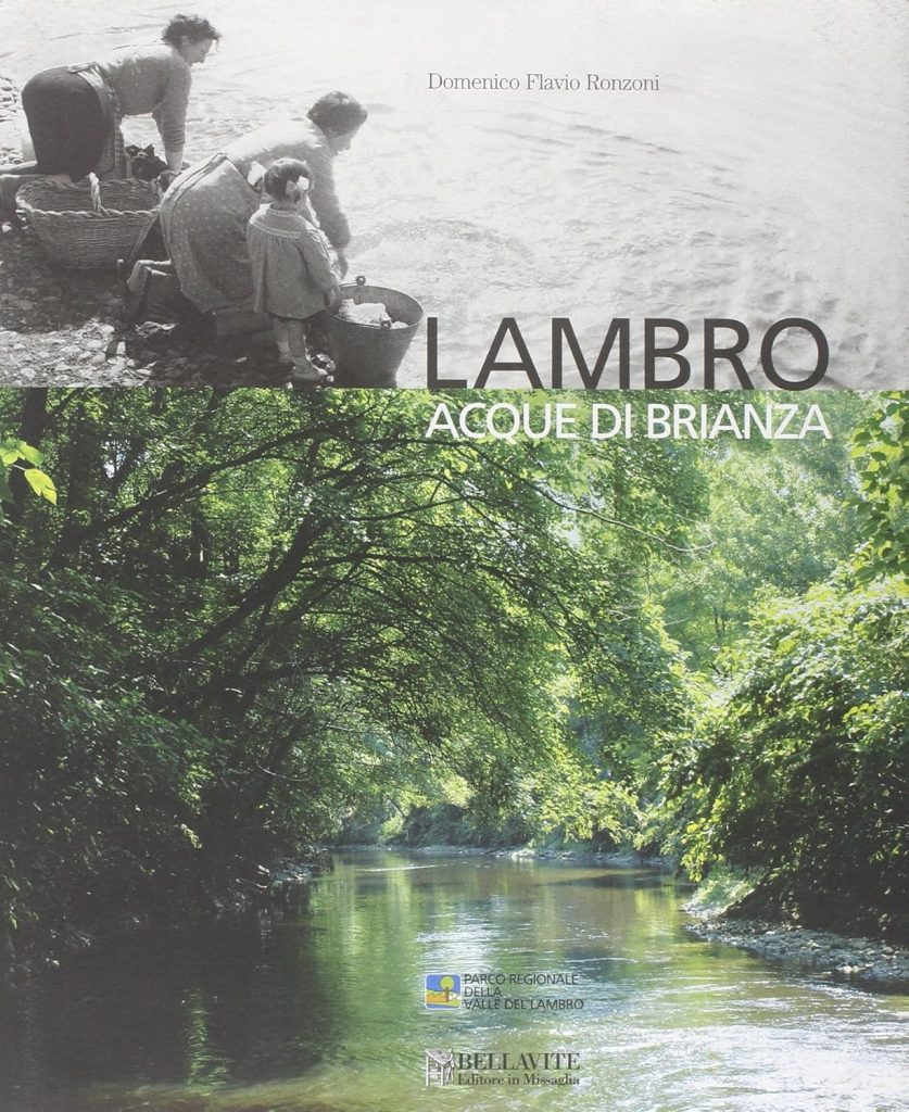 Lambro. Acque di Brianza di Domenico Flavio Ronzoni
