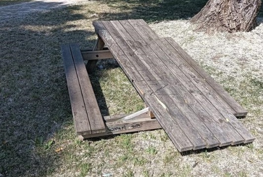 La panchina del parco di Meda