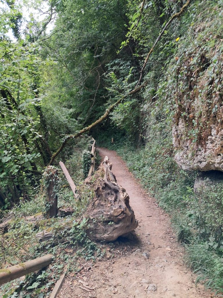 Sovico sentiero Lambro