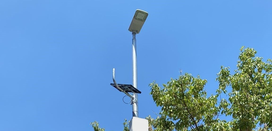 Una fototrappola
