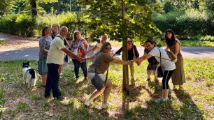 Monza Percorso lutto tiglio piantato Consultorio Familiare via Boito