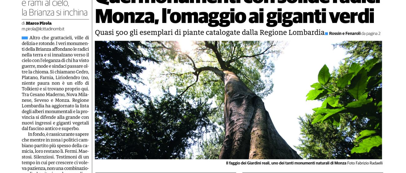 Il Cittadino Prima Monza 10 luglio 2025