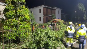 Usmate Velate allagamenti e alberi caduti 7 luglio 2025