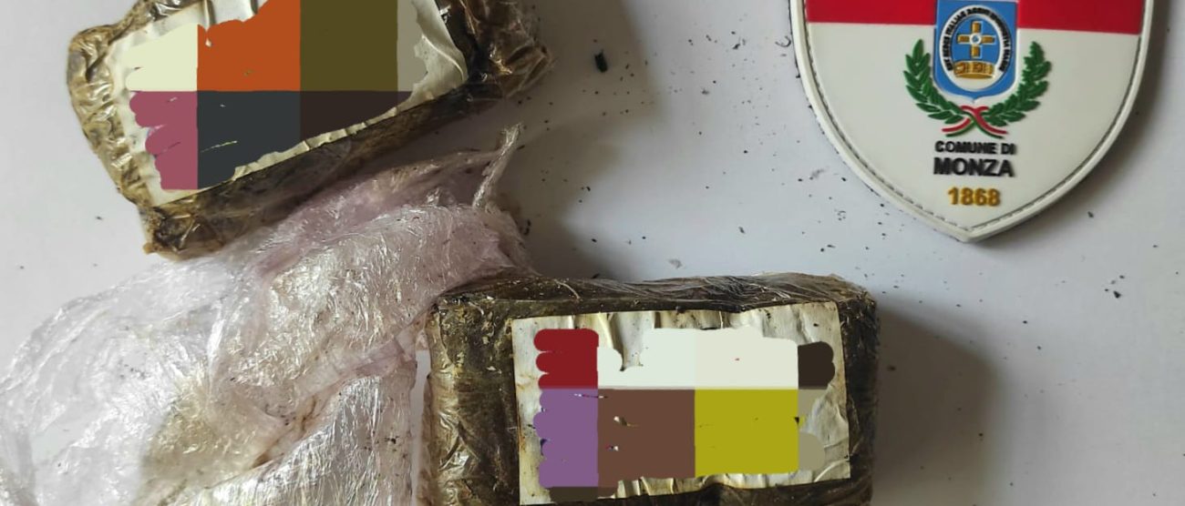 La droga trovata nell'area verde di Monza