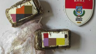 La droga trovata nell'area verde di Monza