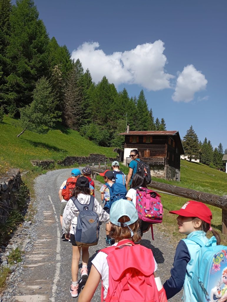 Seregno 2025 Gelsia campi estivi Faap sostegno