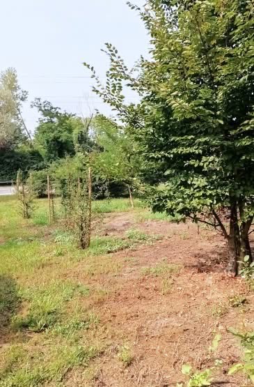 Meda via della Vigna riqualificata