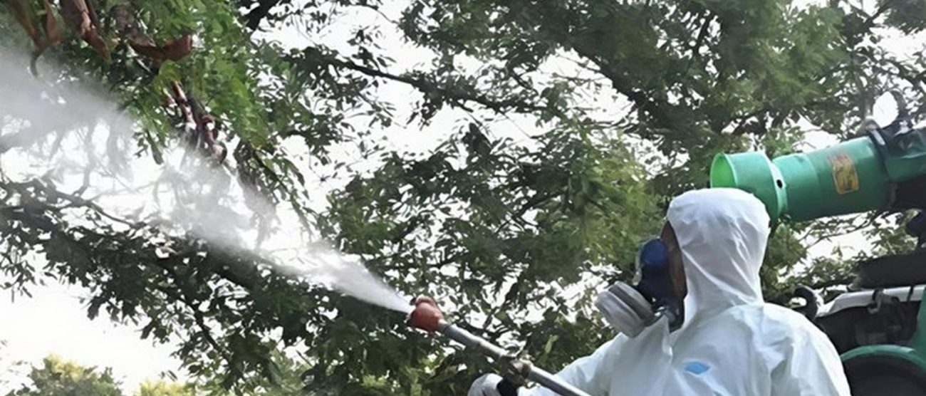 Verano Brianza 2025 Dengue