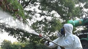 Verano Brianza 2025 Dengue