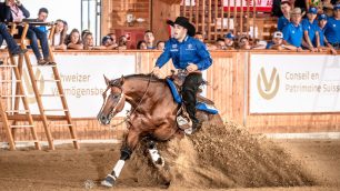 Filippo Milani Monza Reining equitazione