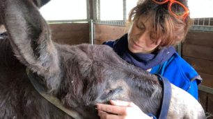 L'operatrice di Enpa Monza Federica con Morina