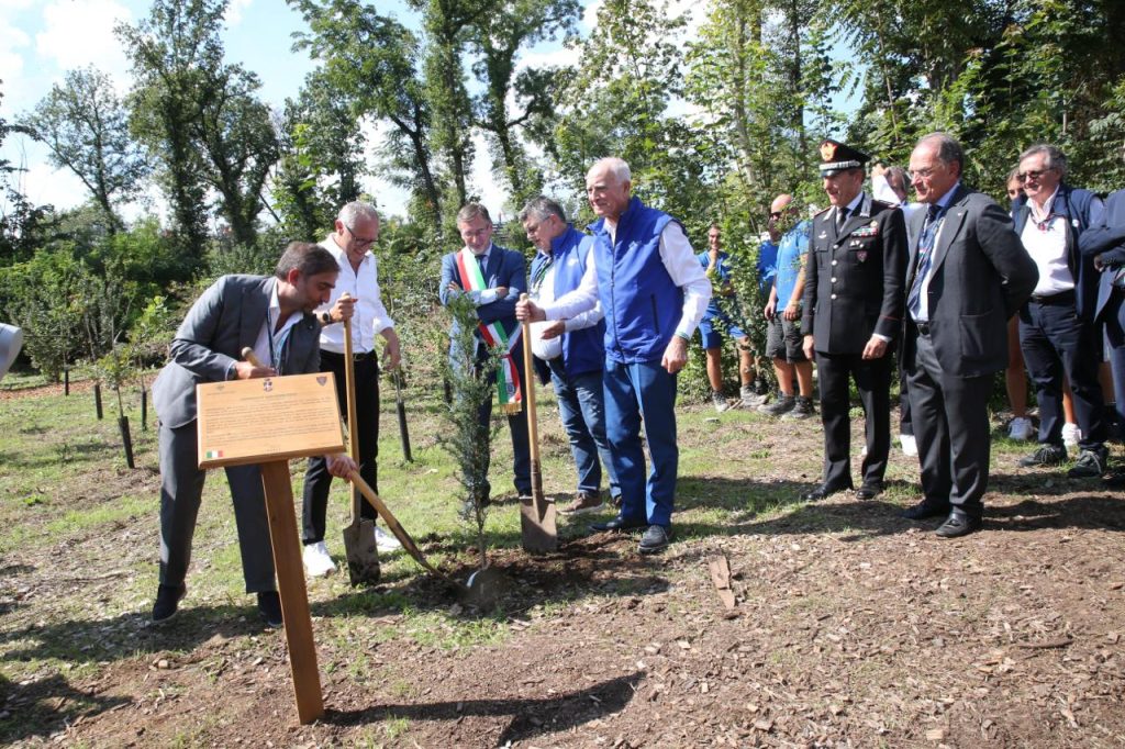 Monza F1 Gp Italia 2025 Un albero per ogni pilota - foto Fabrizio Radaelli