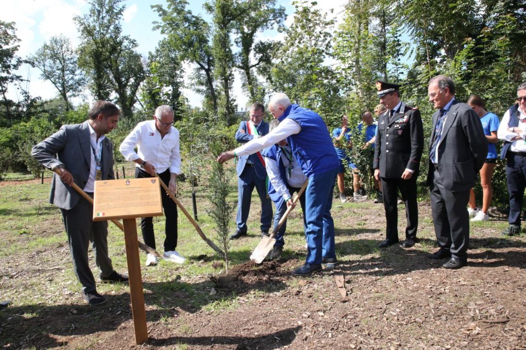 Monza F1 Gp Italia 2025 Un albero per ogni pilota - foto Fabrizio Radaelli