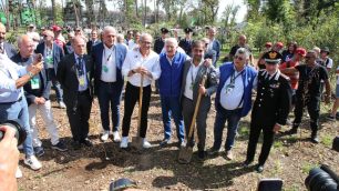 Monza F1 Gp Italia 2025 Un albero per ogni pilota - foto Fabrizio Radaelli