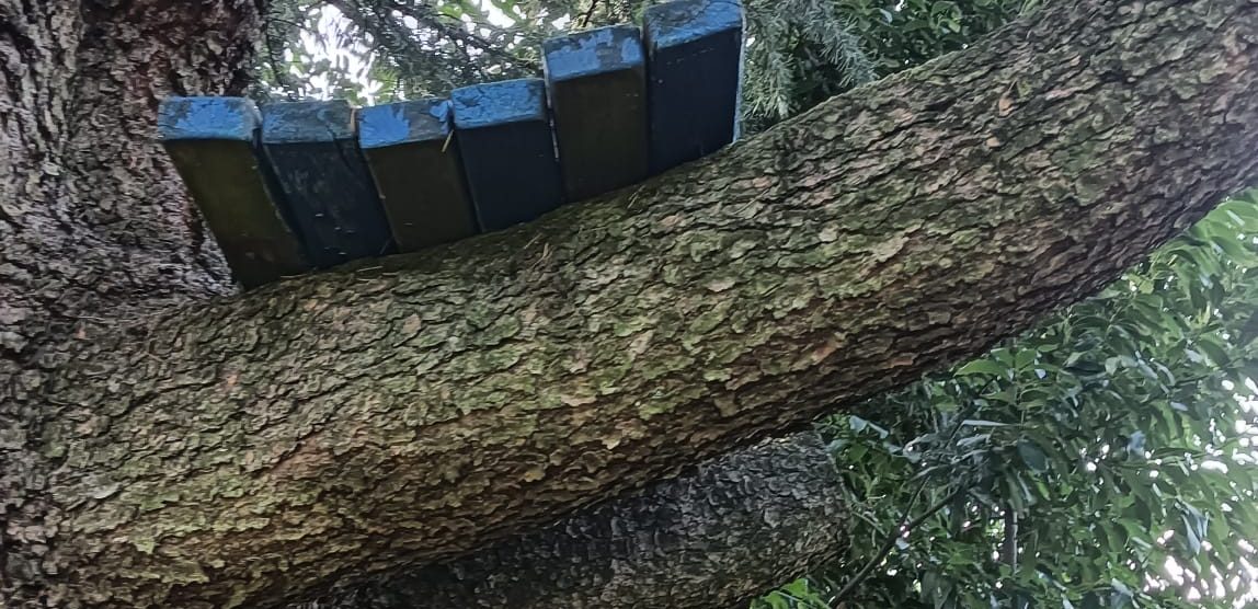 Seregno panchina blu vandalizzata