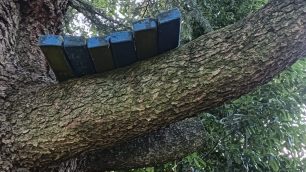 Seregno panchina blu vandalizzata