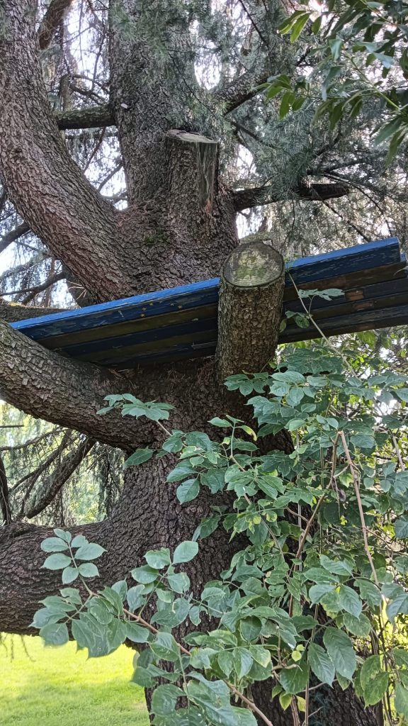 Seregno panchina blu vandalizzata