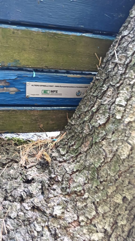 Seregno panchina blu vandalizzata