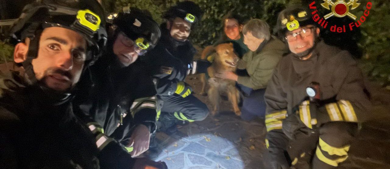 Il cane tratto in salvo dai vigili del fuoco a Bovisio