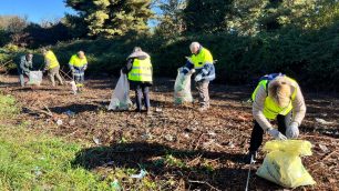 I dipendenti Basf al lavoro al Parco delle Groane